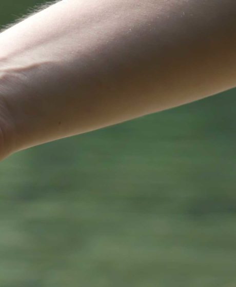 Responsibility