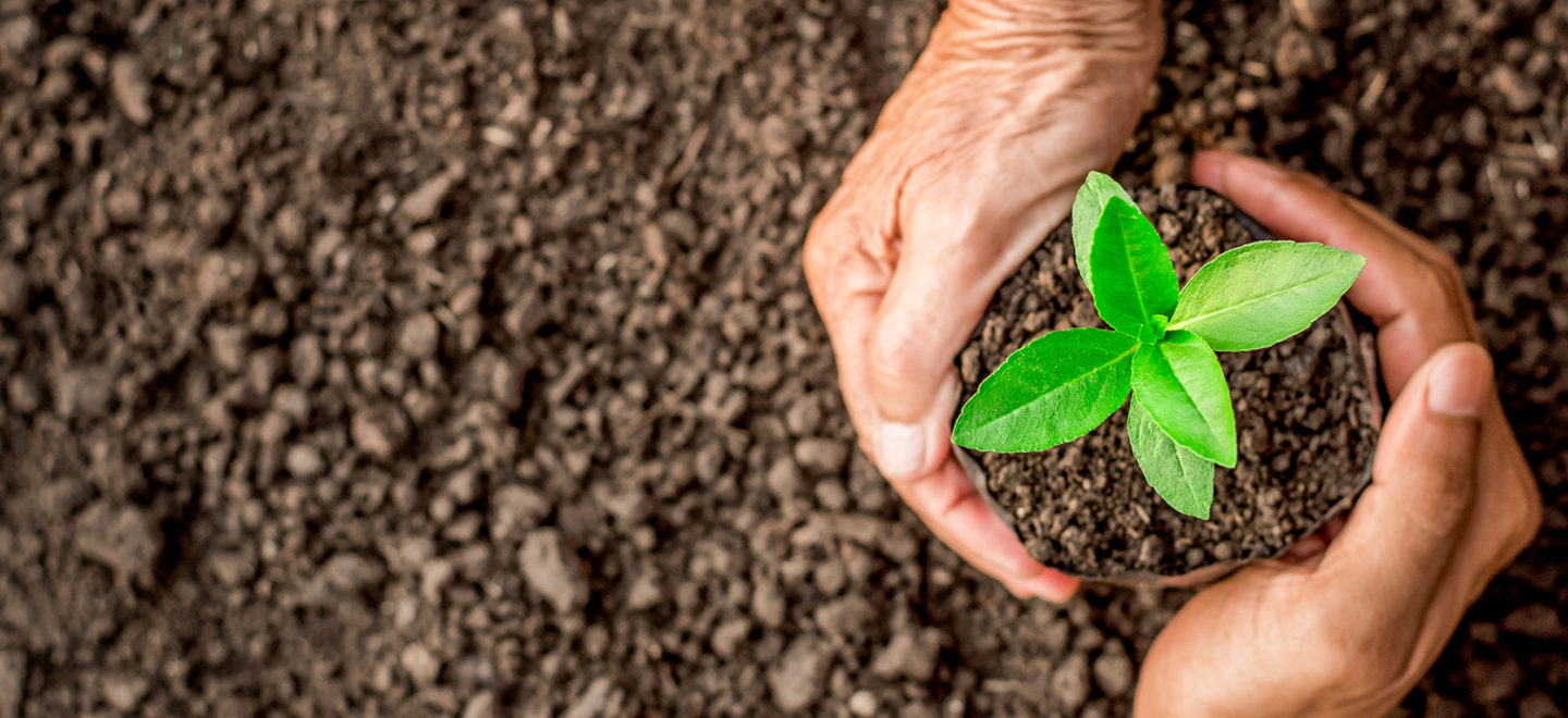 Working together for sustainable tourism: Green Care Professional and Green Key continue their partnership